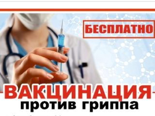 Проводится вакцинация против сезонного гриппа