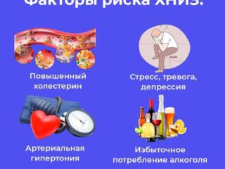 WhatsApp Image 2025-08-29 at 12.21.38